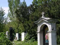 11-06 Stiastny Ferenc